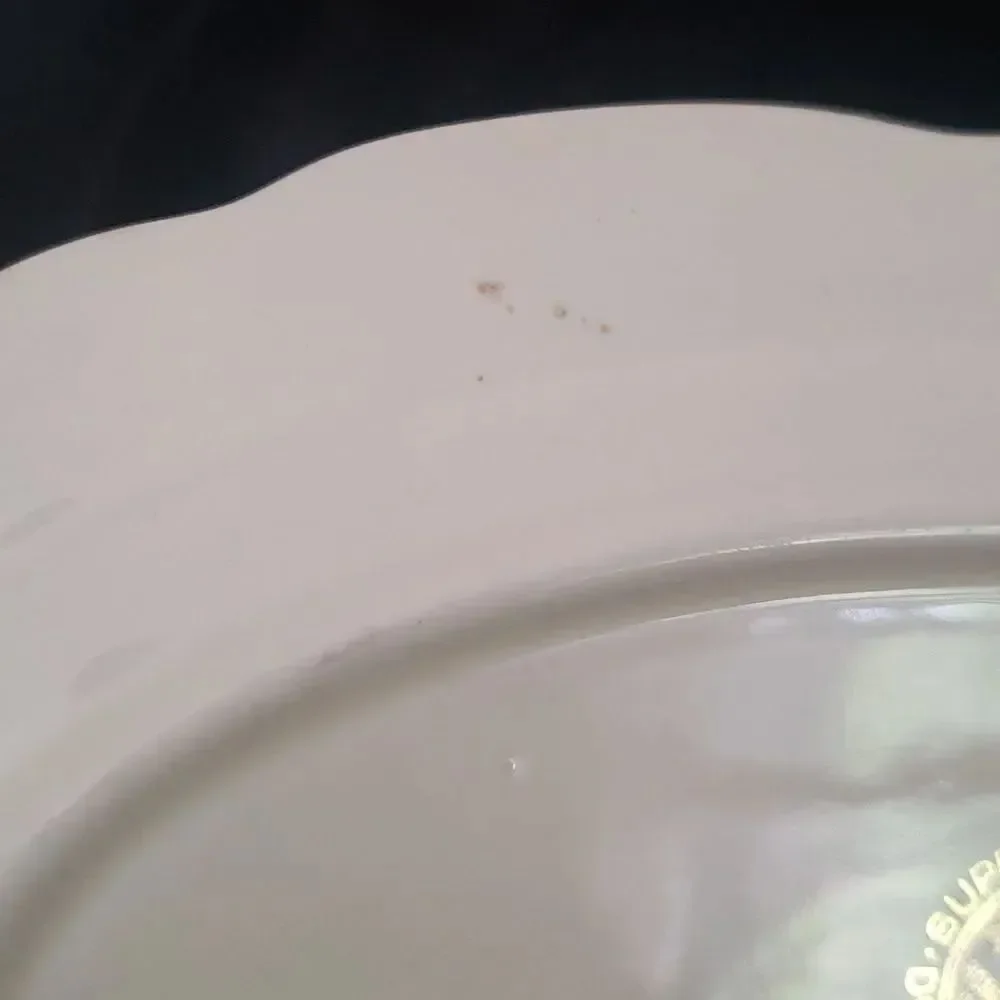 Vintage Hall Jewel Tea Autumn Leaf Porcelain Small Oval Serving Platter Plate 9